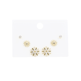 SET X 3 TOPOS Y CANDONGAS EN RODIO